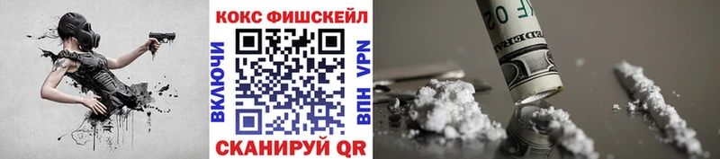 Кокаин FishScale  Купить  Ельня 