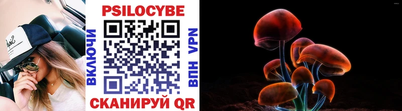 Галлюциногенные грибы Psilocybine cubensis  Купить закладки  Ельня 